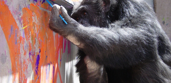 Картины NFT от шимпанзе